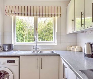 Cherryhurst, Hambledon, Godalming, Surrey, GU8 - Photo 4