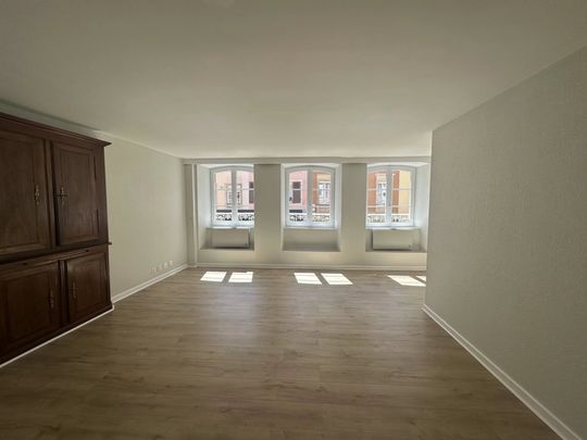 Location Appartement 1 pièce 49m² ALTKIRCH 68130 - Photo 1