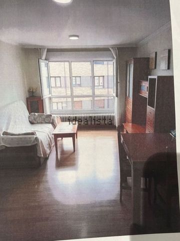 Alquiler de estudio en Calle Rof Carballo Humanista, 1 - Photo 4