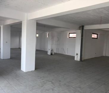 Cladire de inchiriat - 860 mp - zona excelenta - parter - 2 etaje - mansarda - Fotografie 3
