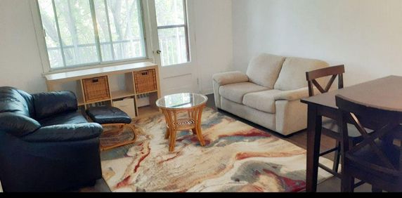 4 1/2 meublé tout inclu au coeur de Verdun près du fleuve et métro - Photo 2