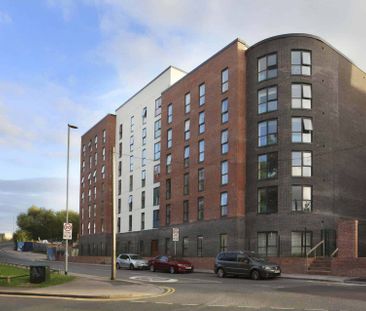 Premium Ensuite - Photo 6