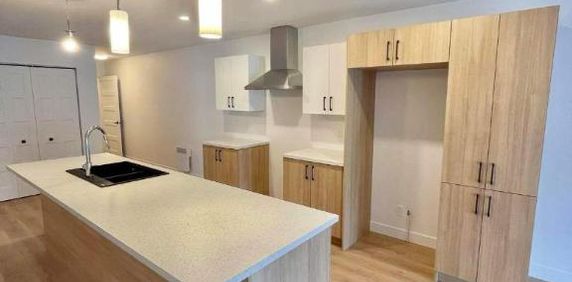 3 CH - 2 SDB - Waterloo - $1,550 /mo - Photo 2