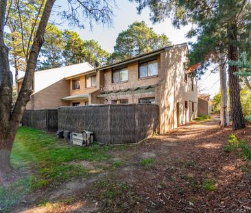 Cosy Ground Floor Lyneham Apartment - Photo 5