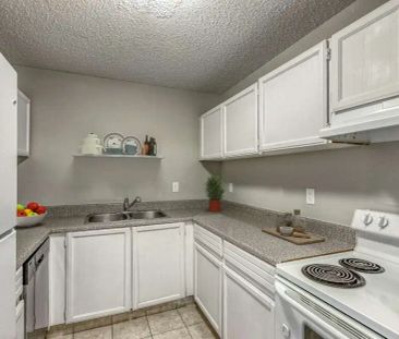 Pineridge Greene Apartments — 1 Bedroom available at 5300 Rundlehor... - Photo 4