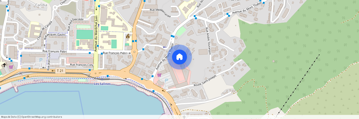 CORSE-DU-SUD (2A), AJACCIO (20090)