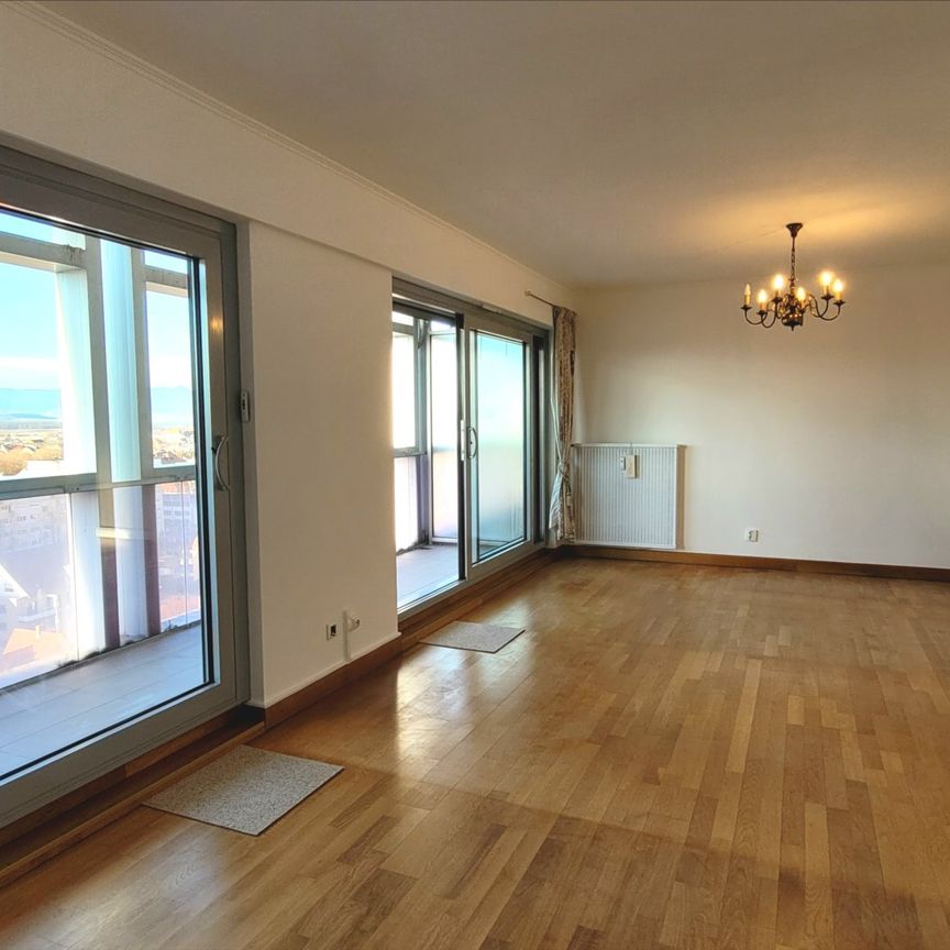 Spacieux 4 pièces à proximité du centre-ville avec vue sur les Vosges - Photo 1