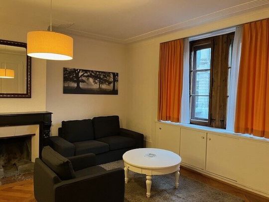 Beautiful furnished 3-room apartment in Carouge (Geneva) - Photo 1
