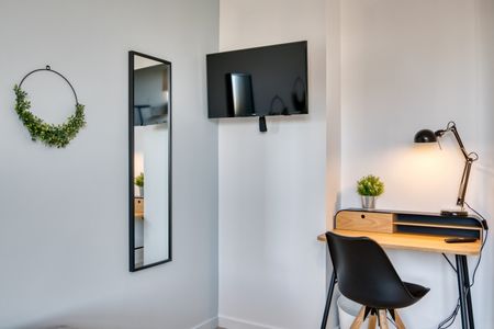 SCHUMAN Roommate 3 Bedrooms at Le Bouscat - Photo 2