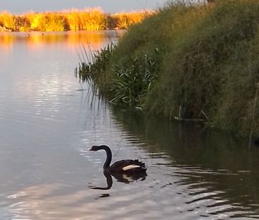 Williamstown North - Photo 5