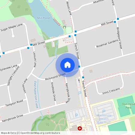 285 Richmond St Street, Richmond Hill