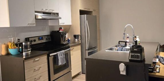 4 et demi à louer - Sainte-catherine, rive sud de Montréal - Photo 2