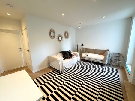 Rue des Bollandistes, 1040, Etterbeek - Photo 3