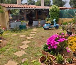 Μονοκατοικία για ενοικίαση - Ερέτρια, - Φωτογραφία 1