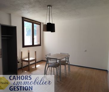Location Appartement 1 pièce 24m² CAHORS 46000 - Photo 3