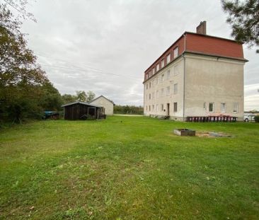 Eine schöne 4 - Zimmer Mietwohnung mit Gemeinschaftsgarten ca. 1500m² - Photo 6