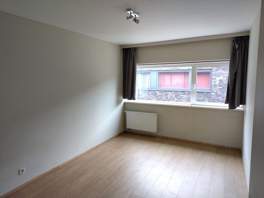 Op zoek naar een vrouw voor een leuk co-house in een rustige buurt - Foto 1