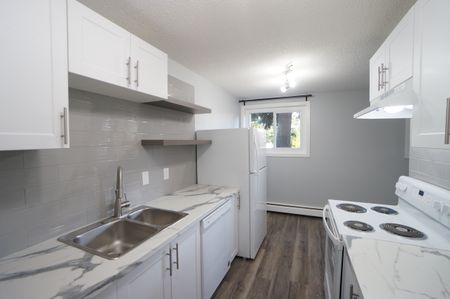 AMAZING newly reno'd Apartment in Lacombe! CATS OK! - Photo 4