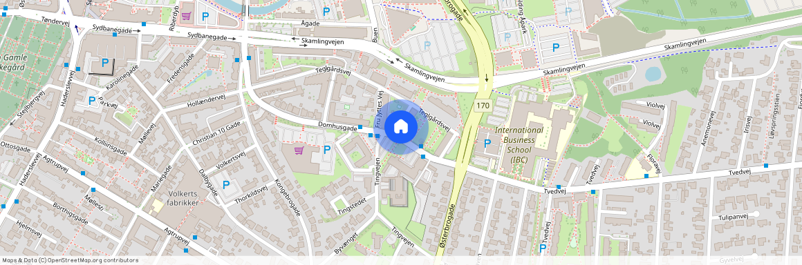 Domhusgade 29, Kolding