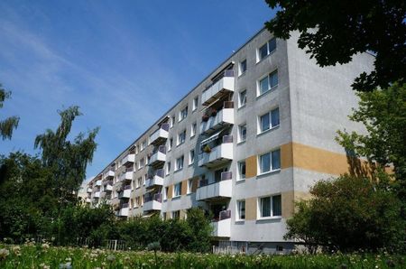 Renovierte 3 Raumwohnung sucht sportliche Nachmieter! - Foto 4