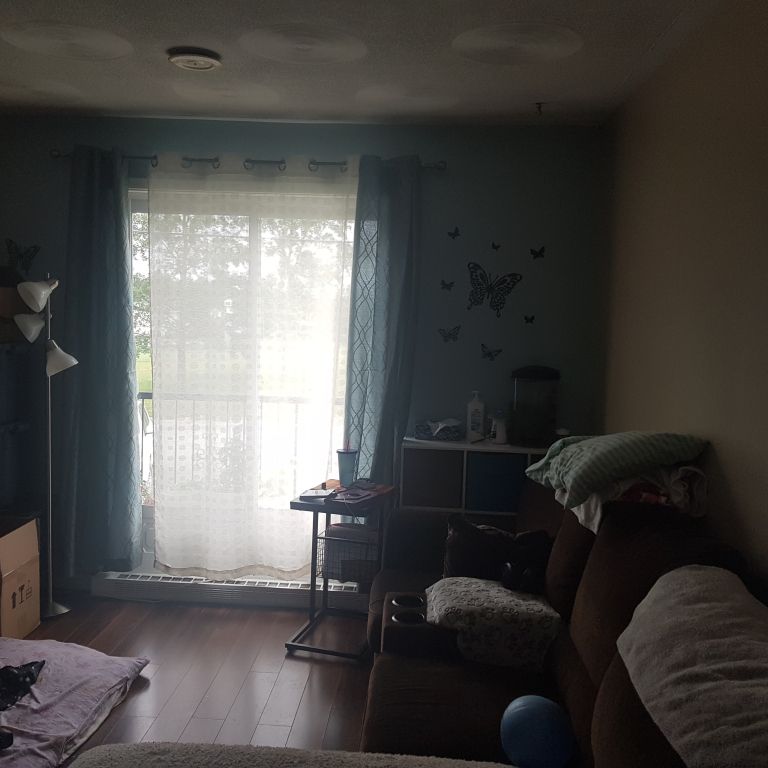 Un Beau 5 1/2 Completement Renové - Photo 1