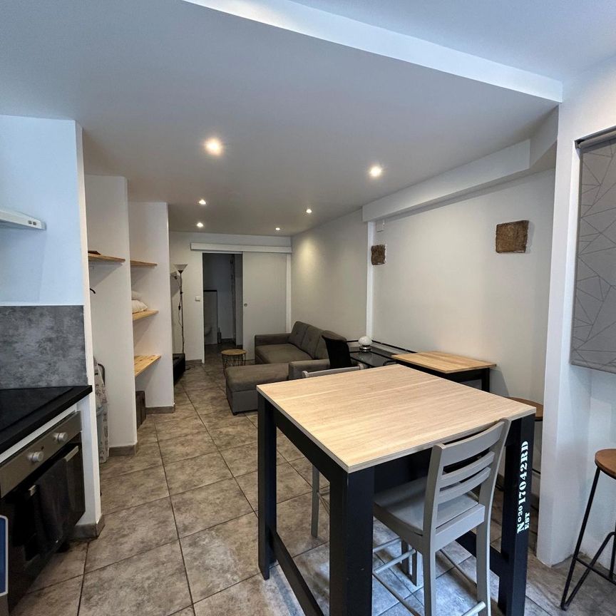 Location Appartement 1 pièce 22m² BLOIS 41000 - Photo 1