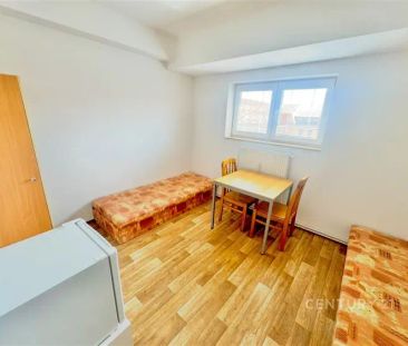 Pronájem ubytování vhodného pro studenty - Fotografie 3