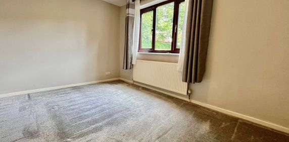 Lakeside Walk - Photo 2