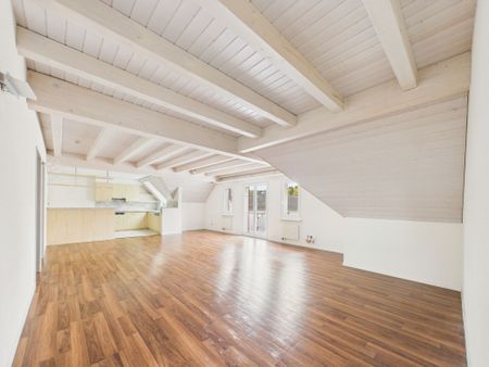 Exklusive 4.5 Zimmer-Wohnung in der begehrten Region Mettlen, Kanton TG - Photo 3