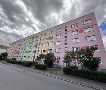 Natürlich hell, natürlich schön – Ihr neues Zuhause - Foto 1