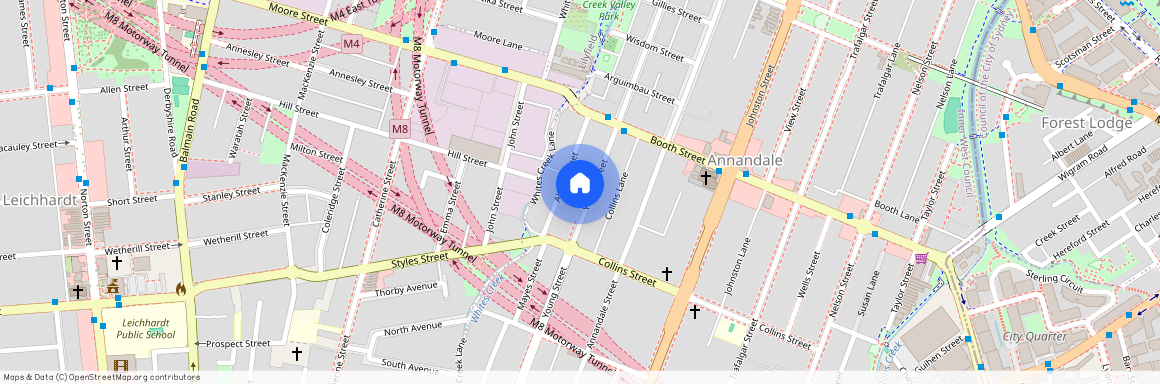 204 Young Street Annandale, NSW 2038