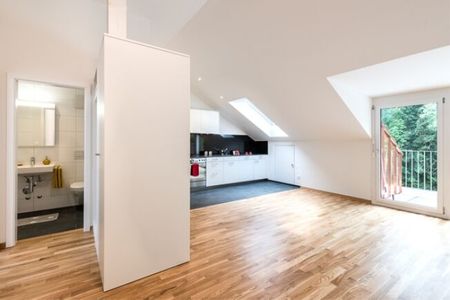 Appartement unique dans un quartier calme est à la recherche d’un nouveau résident - Photo 5