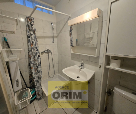 Location Appartement 2 pièces 27m² ST LOUIS 68300 - Photo 3