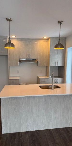 Grand 4-1/2 disponible maintenant - Photo 1