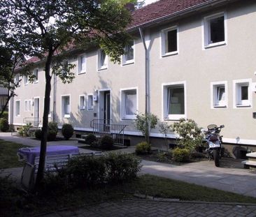 Frisch renovierte 3-Zimmer-Wohnung! - Photo 3