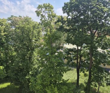 Dachgeschoßwohnung über dem Thermalbad Vöslau - luxuriöse Ausstattung - Photo 6