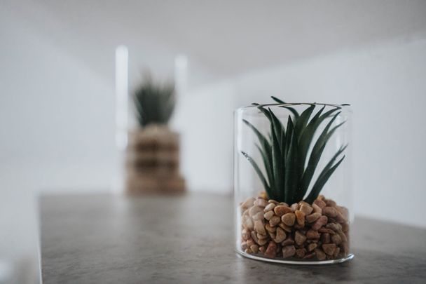 Room in a Shared House, Garmoyle Road, L15 - Photo 1