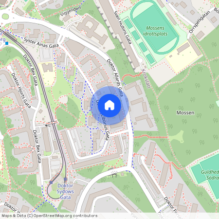 Guldheden, Göteborg, Västra Götaland, Doktor Liborius Gata 18A