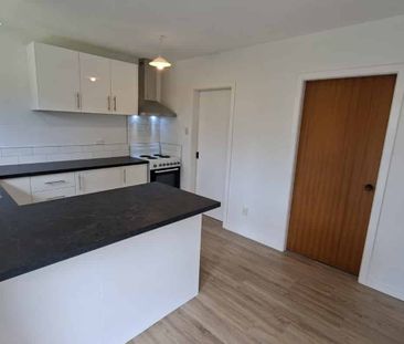 Newly Renovated Summer Living - Photo 3