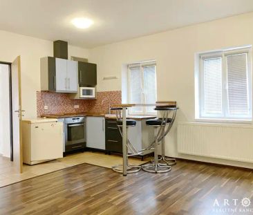 (M15) Pronájem krásného bytu 1+kk, Mostecká ul., Brno Husovice, 32 m - Photo 4