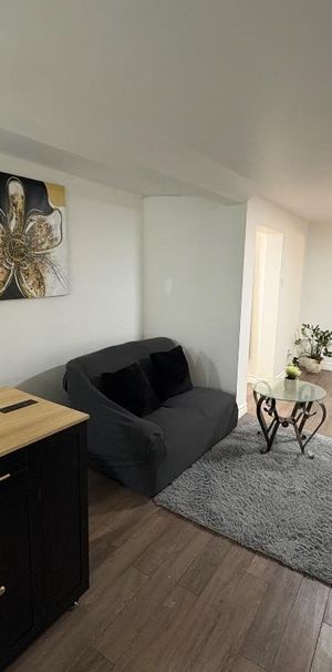 TRÈS Grand Appartement 3 1/2 meubler tout inclus (DISPONIBLE MAINTENANT) - Photo 1