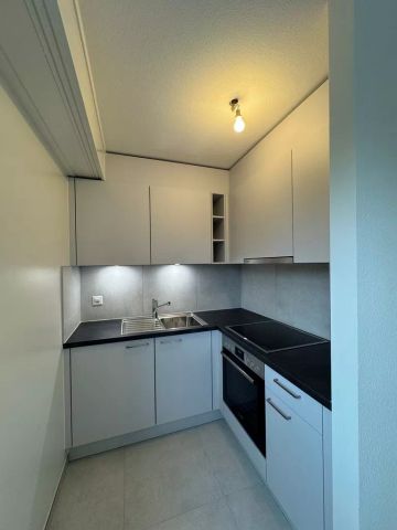 Charmant 1 pièce au 3ème étage rénové - Photo 3