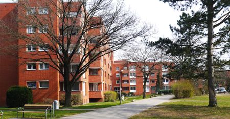 Alfred-Delp-Straße 8, 21337 Lüneburg - Foto 5