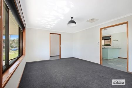 Brand new carpet! - Photo 2