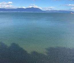 Διαμέρισμα για ενοικίαση - Αυλίδα, - Photo 6