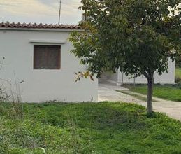 Μονοκατοικία για ενοικίαση - Βέλο, - Photo 5