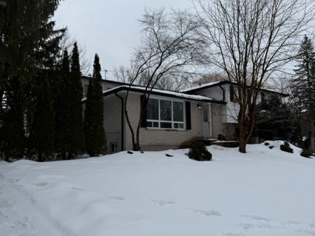 For Lease - 165 Carlson Drive Unit# Lower, Newmarket, Ontario - Photo 4