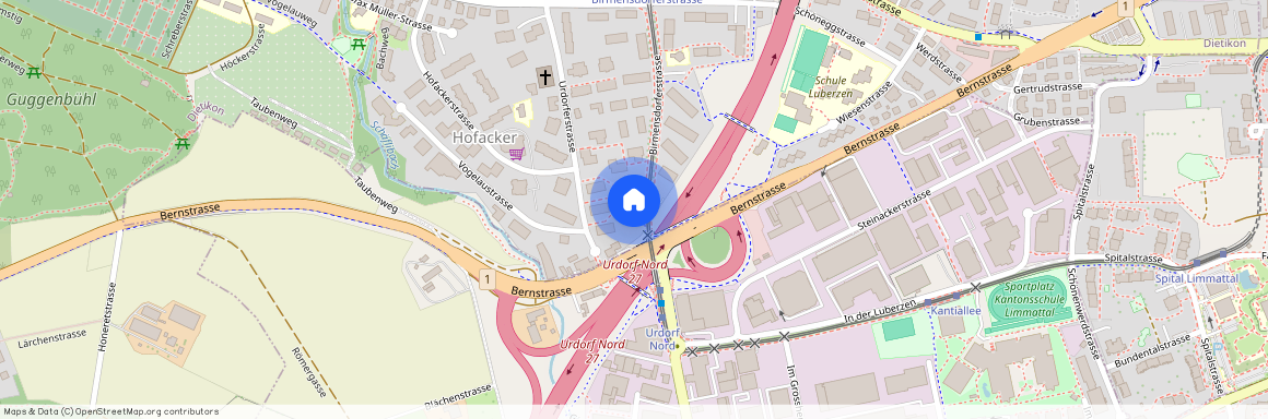 8953, Dietikon, Birmensdorferstrasse, 40