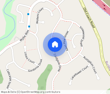 Reedy Creek - Photo 1