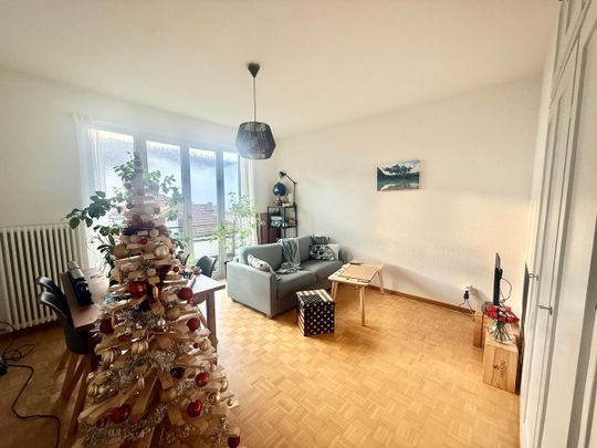Nice 4.5 room apartment for rent - Foto 1